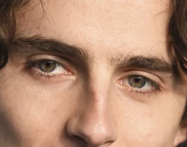 Timothée Chalamet eye color