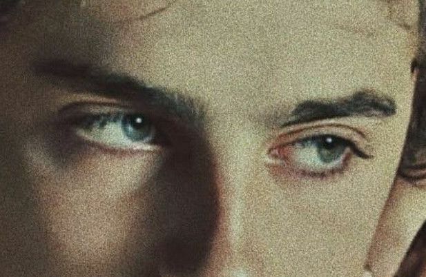 Timothée Chalamet eye color