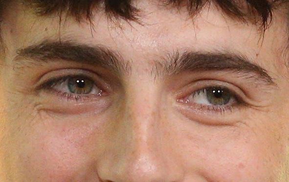 Timothée Chalamet eye color