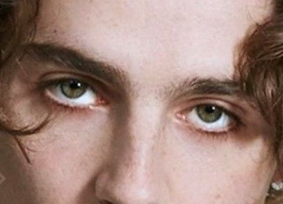 Timothée Chalamet eye color