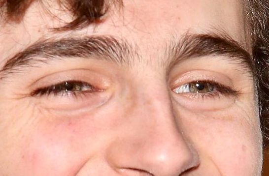 Timothée Chalamet eye color