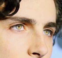 Timothée Chalamet eye color