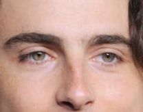 Timothée Chalamet eye color