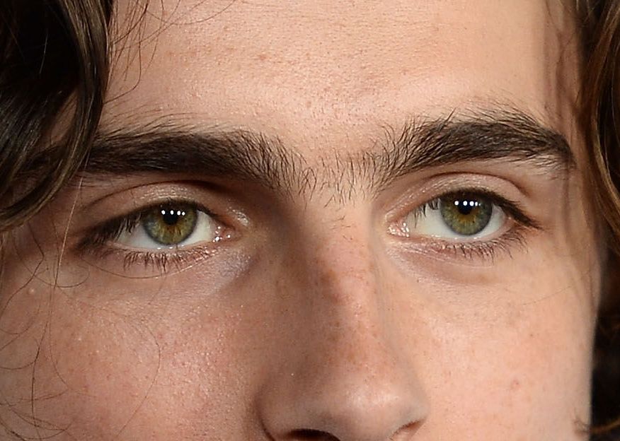 Timothée Chalamet eye color