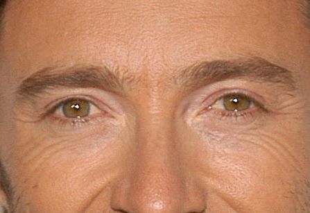 Eye Color AI | Find the eye color of celebrities