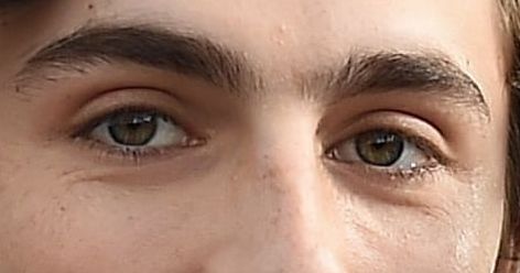 Timothée Chalamet eye color