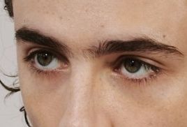 Timothée Chalamet eye color