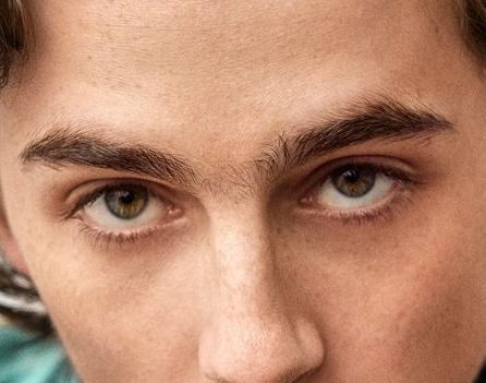 Timothée Chalamet eye color