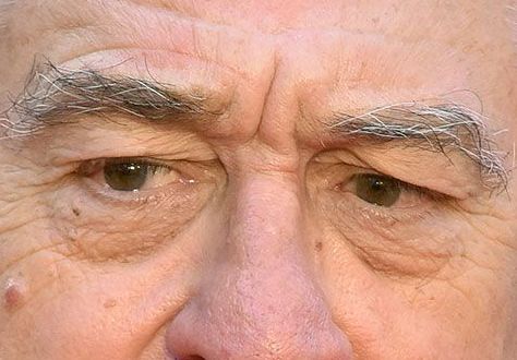 Robert De Niro eye color