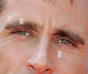 Steve Carell eye color