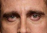 Steve Carell eye color