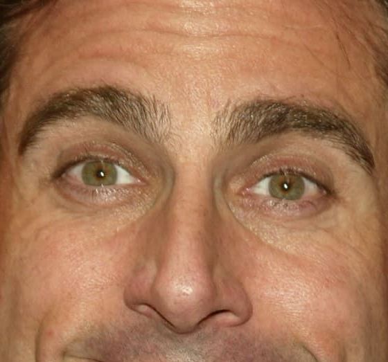 Steve Carell eye color