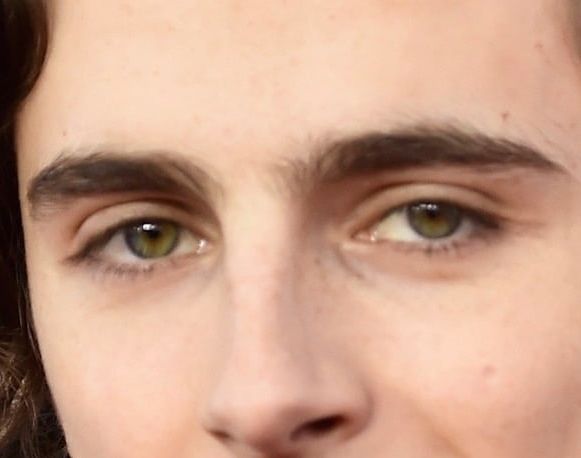 Timothée Chalamet eye color