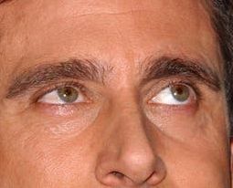 Steve Carell eye color