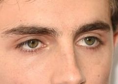 Timothée Chalamet eye color