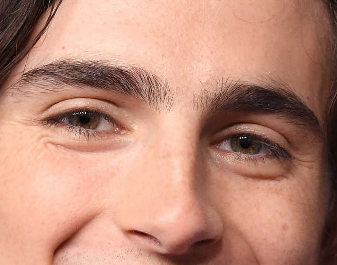 Timothée Chalamet eye color