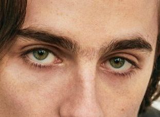 Timothée Chalamet eye color