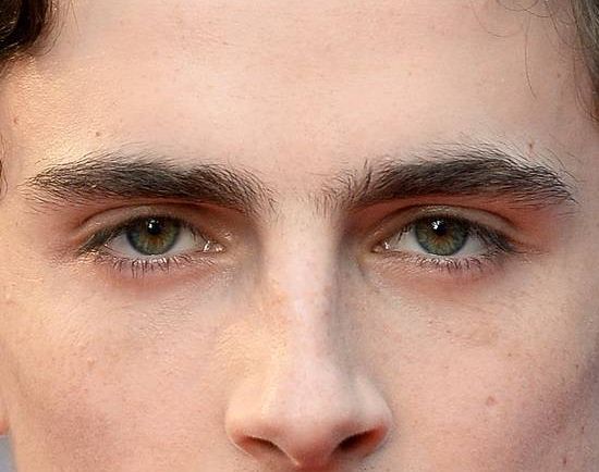 Timothée Chalamet eye color