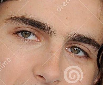 Timothée Chalamet eye color