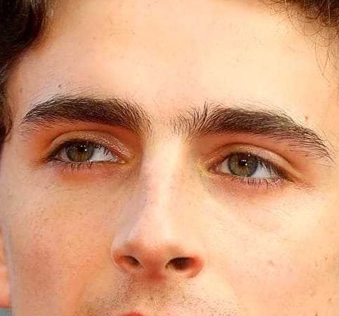 Timothée Chalamet eye color