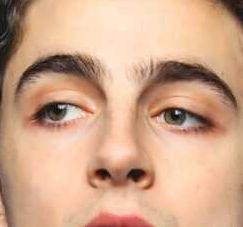 Timothée Chalamet eye color