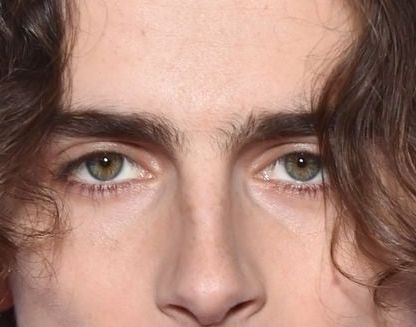 Timothée Chalamet eye color