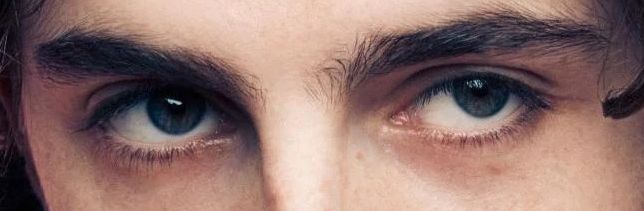 Timothée Chalamet eye color