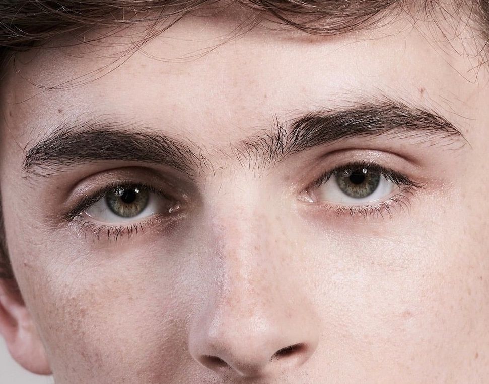 Timothée Chalamet eye color