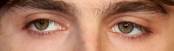 Timothée Chalamet eye color