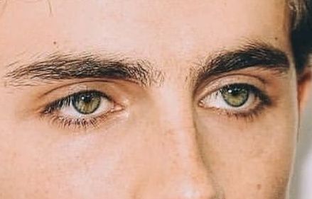 Timothée Chalamet eye color