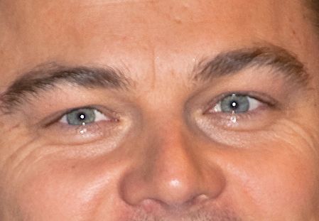 Leonardo DiCaprio eye color