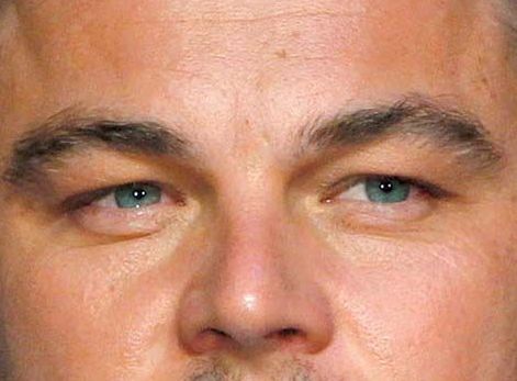 Leonardo DiCaprio eye color