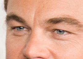 Leonardo DiCaprio eye color