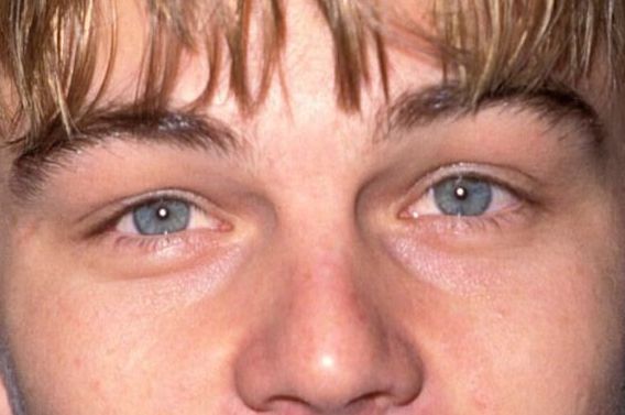 Leonardo DiCaprio eye color