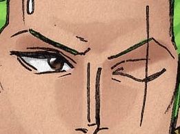 Zoro eye color