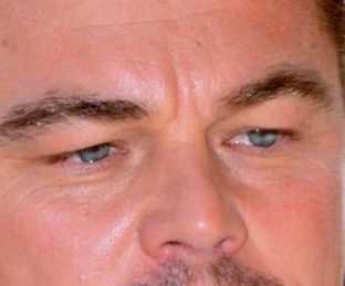 Leonardo DiCaprio eye color