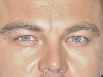 Leonardo DiCaprio eye color