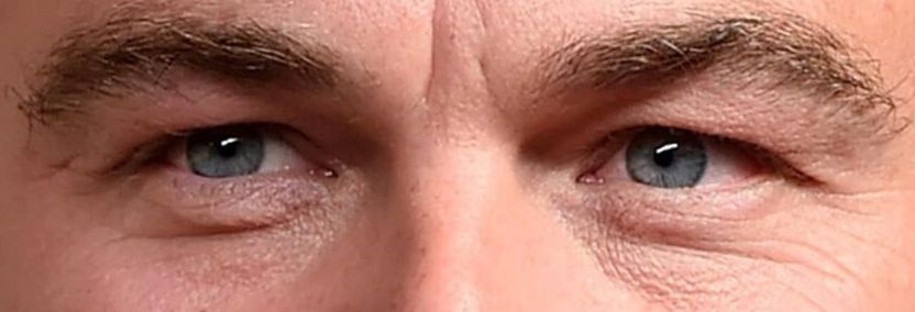 Leonardo DiCaprio eye color