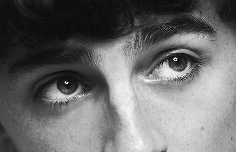 Timothée Chalamet eye color