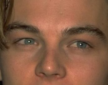 Leonardo DiCaprio eye color