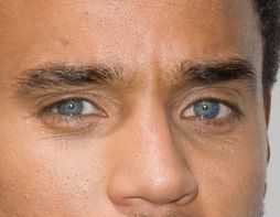 Michael Ealy eye color