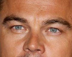 Leonardo DiCaprio eye color