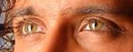 Hrithik Roshan eye color