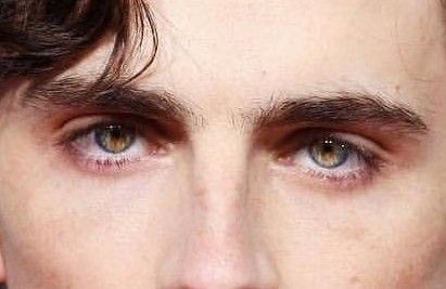 Timothée Chalamet eye color