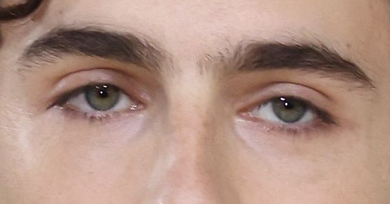 Timothée Chalamet eye color