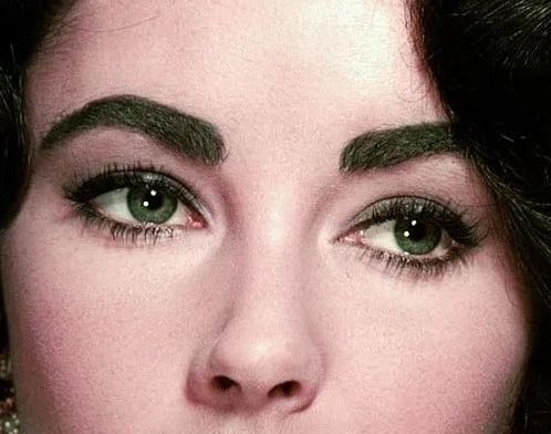 Elizabeth Taylor eye color