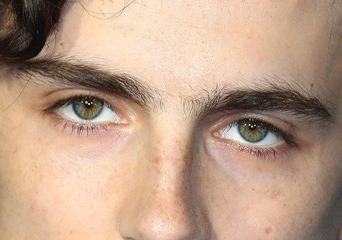 Timothée Chalamet eye color