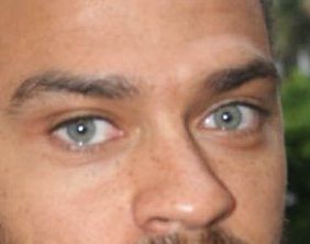 Jesse Williams eye color