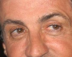 Sylvester Stallone eye color