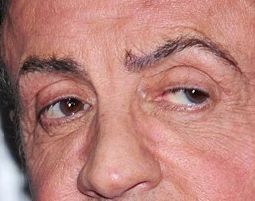 Sylvester Stallone eye color